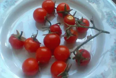 Cherry jigsaw puzzle