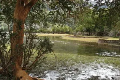 פאזל של Parque Nacional Los Alerces. Chubut. Argentina