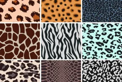 FaraÃ³n jigsaw puzzle