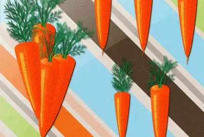 FaraÃ³n jigsaw puzzle