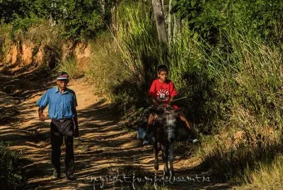 camino real