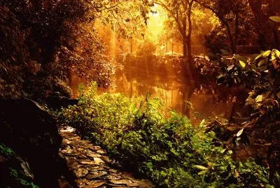 פאזל של naturaleza