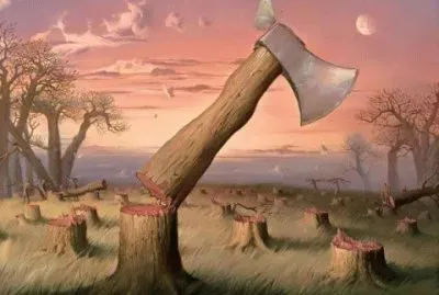 34