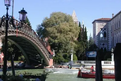 Ponte dell 'Accademia. Venecia.