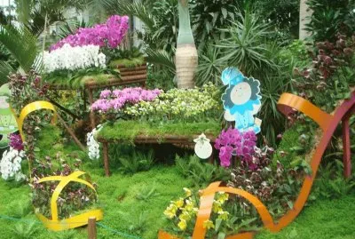 פאזל של jardim