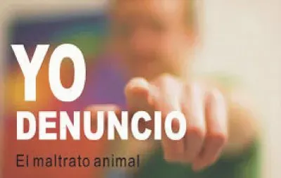 YO DENUNCIO.