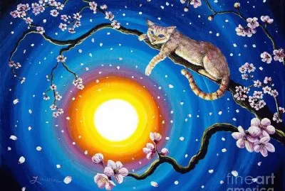 gato