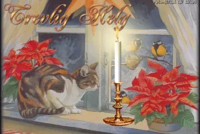Christmas window