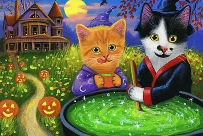 gatos