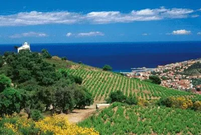 NÂº 430 jigsaw puzzle