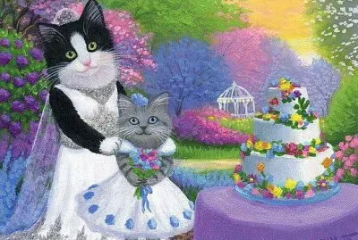 gatos