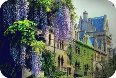 domaine jigsaw puzzle