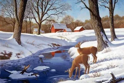Winter morning by John Sloane