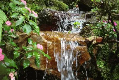 jardÃ­n japonÃ©s