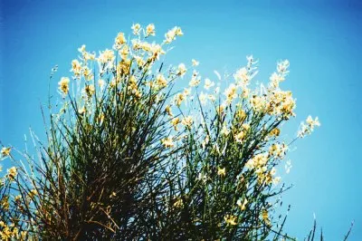 Reserva ecologica Costanera Sur