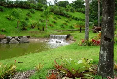 paz