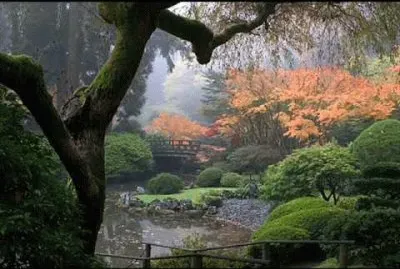 jardÃ­n japonÃ©s