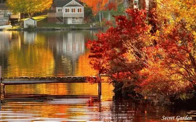 פאזל של NÂº 461