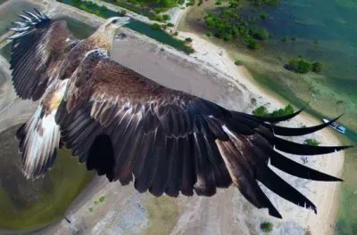 Bali-Barat-National-Park-Indonesia jigsaw puzzle