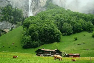 campo