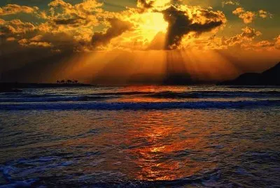 NÂº 464 jigsaw puzzle