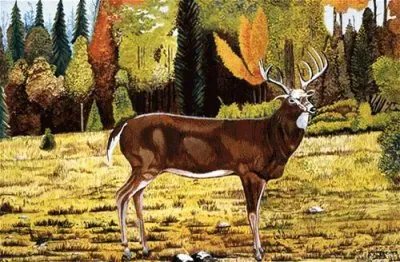 10 jigsaw puzzle