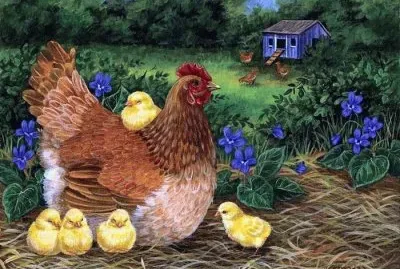 Chicken with Kids