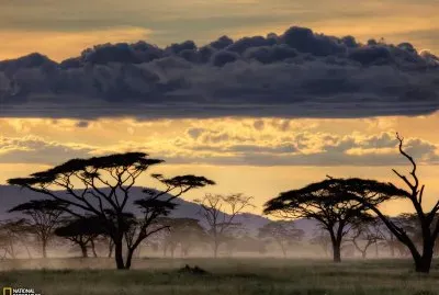 paisagem