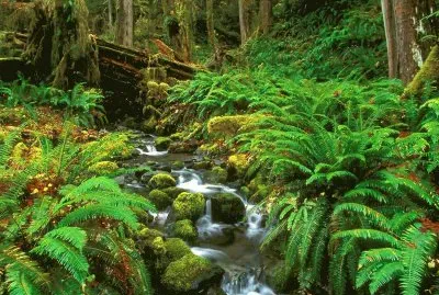 naturaleza