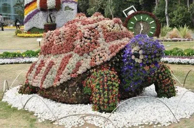 פאזל של jardim