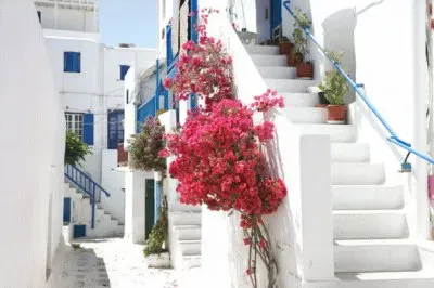 escaleras jigsaw puzzle