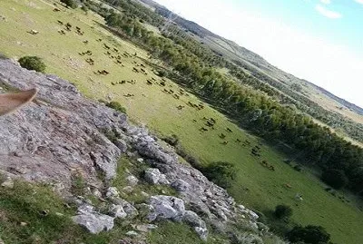 los campos de aqui