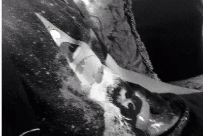 my friend karlos jigsaw puzzle