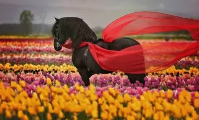 NÂº 485 jigsaw puzzle