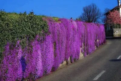 NÂº 489 jigsaw puzzle