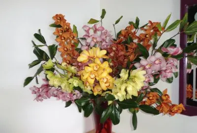 ORQUIDEAS jigsaw puzzle