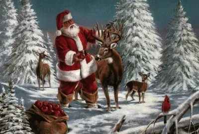 Pare Noel jigsaw puzzle
