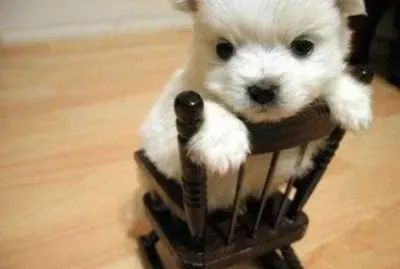 esto no se puede comparar