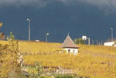 Automne jigsaw puzzle