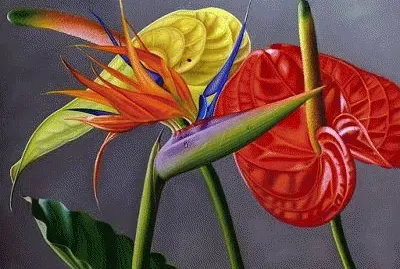 Exotic Flowers