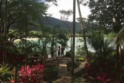 jardim