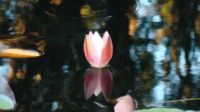 Fotos sacadas en el sur