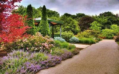primavera jigsaw puzzle
