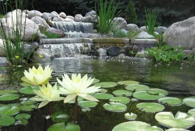 ESTANQUE EN EL JARDIN