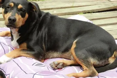 LA ENANA TOMANDO SOL