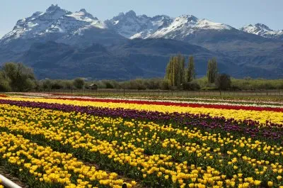 Trevelin. Chubut. Argentina jigsaw puzzle