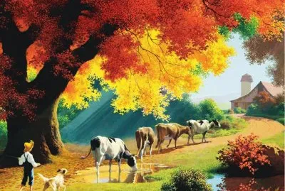 vacas