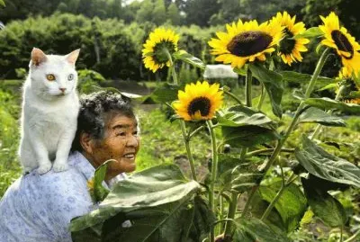 gato y seÃ±ora