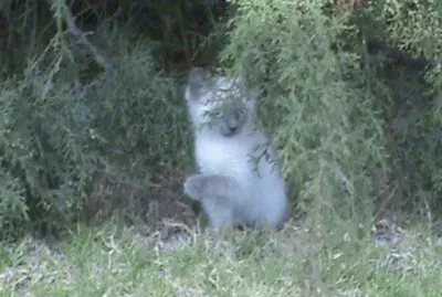 Algo sucede por ahÃ­...