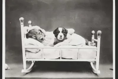 durmiendo